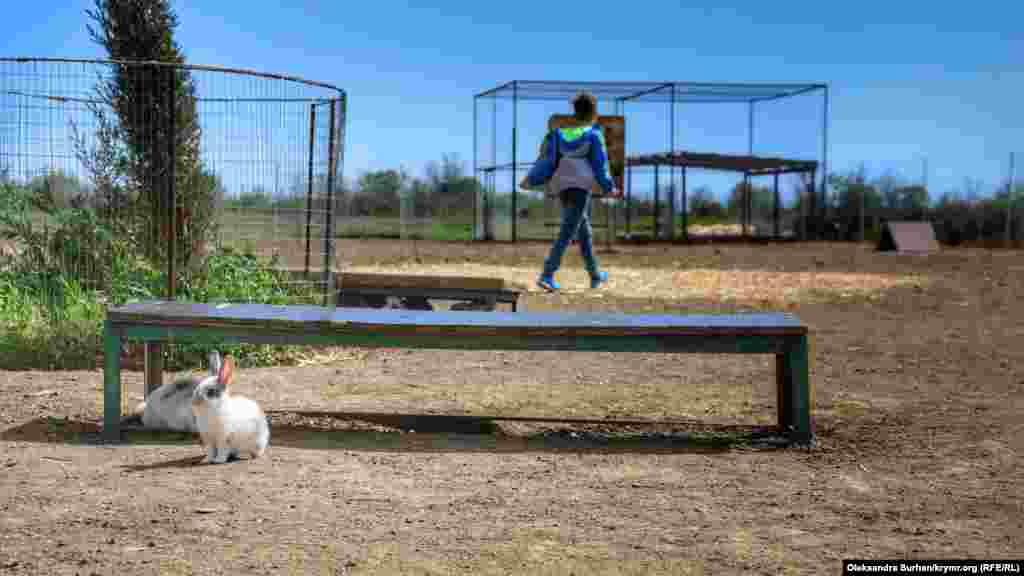 «Местные жители» с недоумением наблюдают за ним