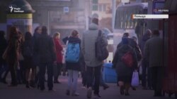 Збирач ягід, працівник м’ясокомбінату та «айтішник» – як працюється українцям у Польщі (відео)