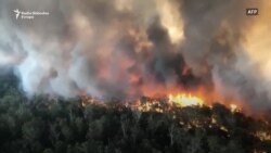 Požari u Australiji – katastrofa ili opomena? Požari u Australiji – katastrofa ili opomena?