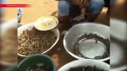 Что известно об убийстве гибели киногруппы в ЦАР? (видео) Что известно об убийстве гибели киногруппы в ЦАР? (видео)