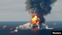 Внаслідок аварії, що сталася 20 квітня 2010 року на нафтовидобувній платформі Deepwater Horizon, у Мексиканську затоку витекло більше 4 мільйонів барелів нафти