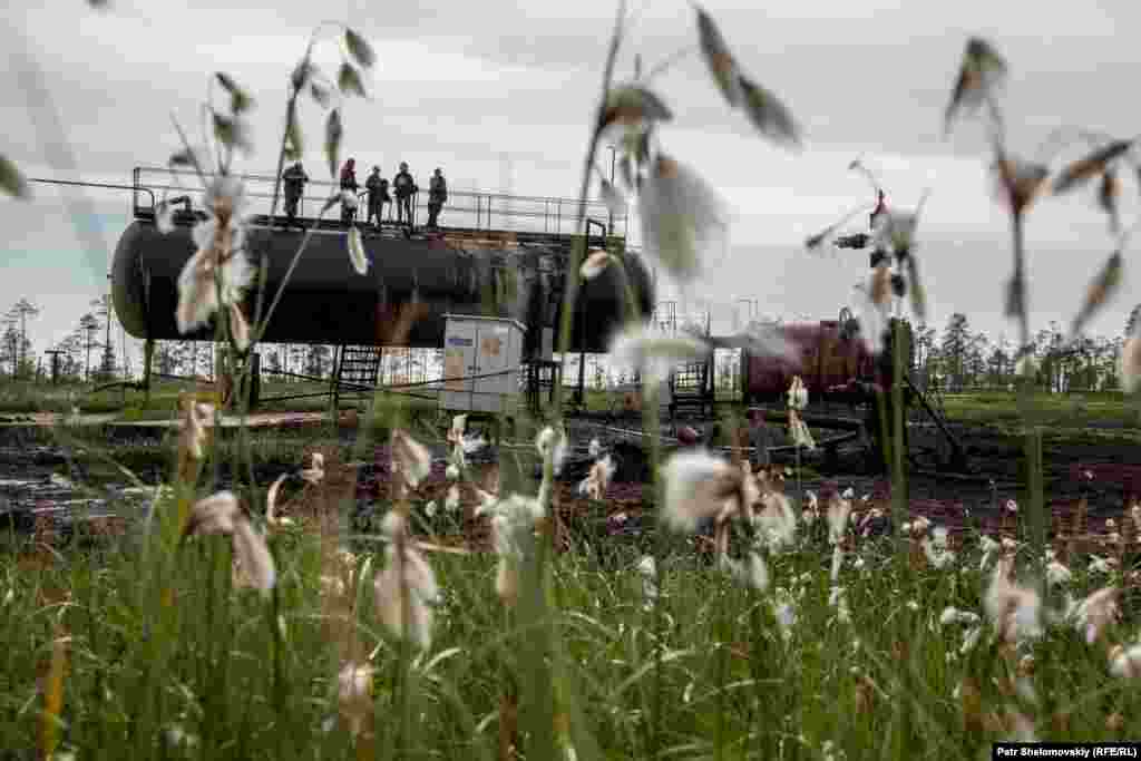 Мултановы и активисты Гринписа забираются в заброшенную цистерну с нефтью. Местные оленеводы через суд требовали от "Газпрома" очистить местность от нефти. Несколько раз их требования были удовлетворены.