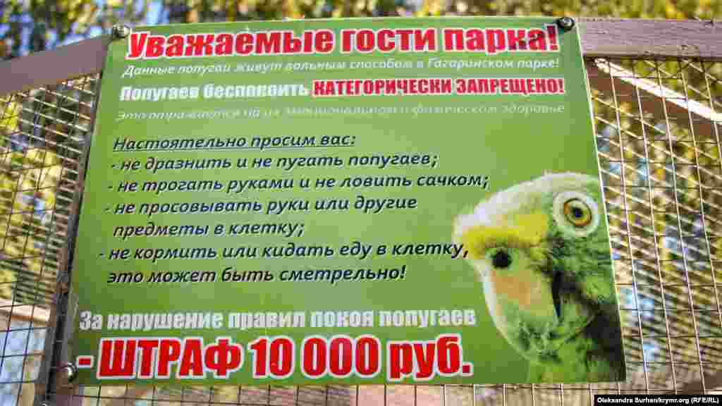 Хоть попугаи и передвигаются свободно, играть с ними запрещено – можно только смотреть