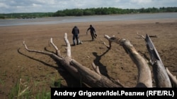 Обмелевшая Казанка в районе Гавриловской рощи, фото 2019 года.