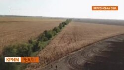 Чому у Криму немає кримських фруктів та овочів? Чому у Криму немає кримських фруктів та овочів?