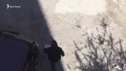 Казак проверяет соблюдение самоизоляции (видео) Казак проверяет соблюдение самоизоляции (видео)