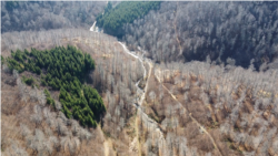 Bezakonje u šumama Hercegovine - bujične poplave u dolinama
 Bezakonje u šumama Hercegovine - bujične poplave u dolinama