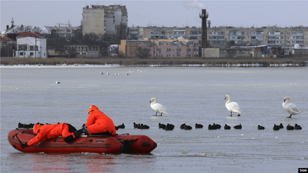 В Евпатории для нормальной жизнедеятельности птиц сотрудники российской аварийно-спасательной службы «Крым – Спас» прорубают полыньи в замерзшем в результате экстремальных холодов озере Сасык-Сиваш