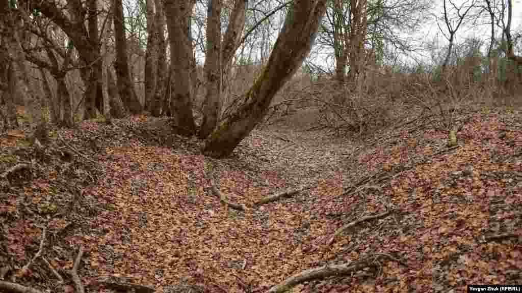 Русло реки Байдарки – притока реки Черной – полностью сухое