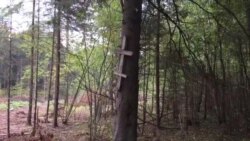 Крыж ад германцаў на магіле рускіх салдатаў Крыж ад германцаў на магіле рускіх салдатаў