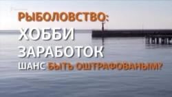 Как в Крыму штрафуют за хобби? (видео) Как в Крыму штрафуют за хобби? (видео)