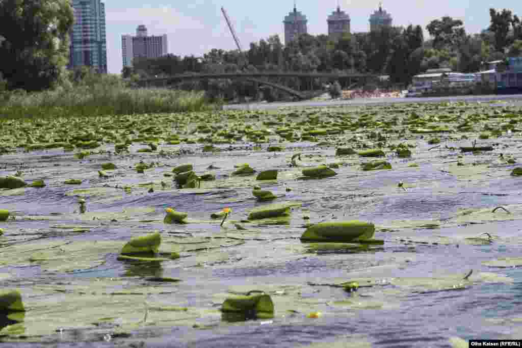 Збирали сміття у чотирьох локаціях: в районі Гідропарку, «Каяк-каное» на Березняках, біля Південного мосту біля станції метро «Славутич» та на оболонському пляжі «Наталка»