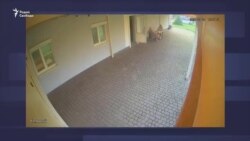 Официальные представители РФ отрицают удар по гражданским в Кривом Роге Официальные представители РФ отрицают удар по гражданским в Кривом Роге