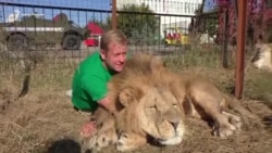 Столкновение с реальной Россией (видео) Столкновение с реальной Россией (видео)