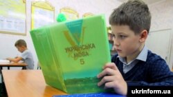 Під час уроку української мови, Київщина