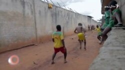 د فبرورۍ درېیمې ویډیويي خبرونه د فبرورۍ درېیمې ویډیويي خبرونه