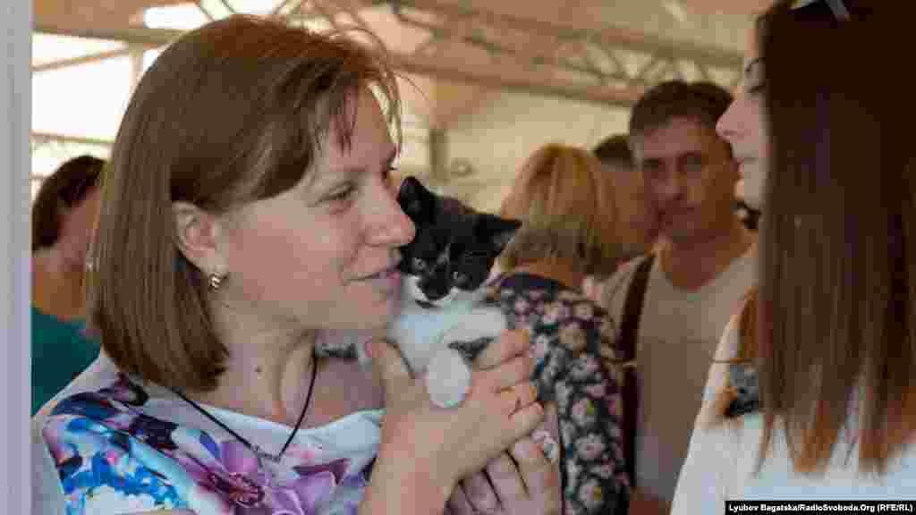 Як запевнили організатори заходу, всі кішки, яких віддавали в родини, здорові, вже одужали та реабілітувалися