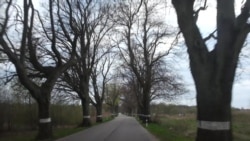 "Я не виню рядовых" "Я не виню рядовых"