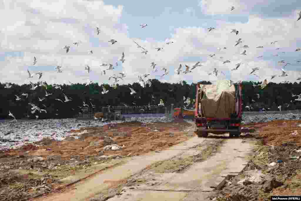 На полигон “Восточный” поступает примерно 90% собственных машин “ПЖКХ” и около 10% других мусороперевозчиков. При этом, собственные машины, как утверждают представители “ПЖКХ”, предварительно проезжают через сортировочные станции.    