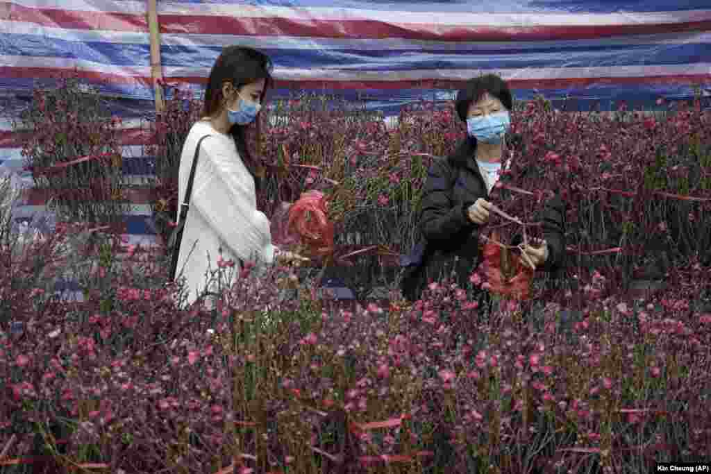 У Пекіні через епідемію скасували святкування Нового року за китайським календарем, яке мало відбутися цими вихідними. Однак місцева влада Гонконгу святкування не скасовує. На фото: люди купують квіти на новорічному ринку в парку «Вікторія»