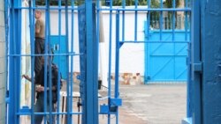 Ваша Свобода | Закон Савченко: скасувати чи скорегувати? Ваша Свобода | Закон Савченко: скасувати чи скорегувати?