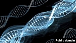 Ілюстраційне зображення