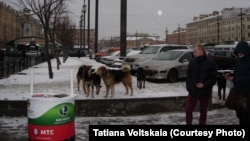 Санкт-Петербург. Сенная площадь