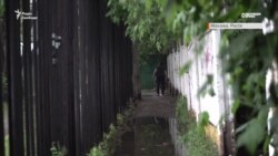 За і проти змін до Конституції Росії: думки росіян – відео За і проти змін до Конституції Росії: думки росіян – відео