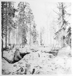 Фінський військовий вивчає ліс