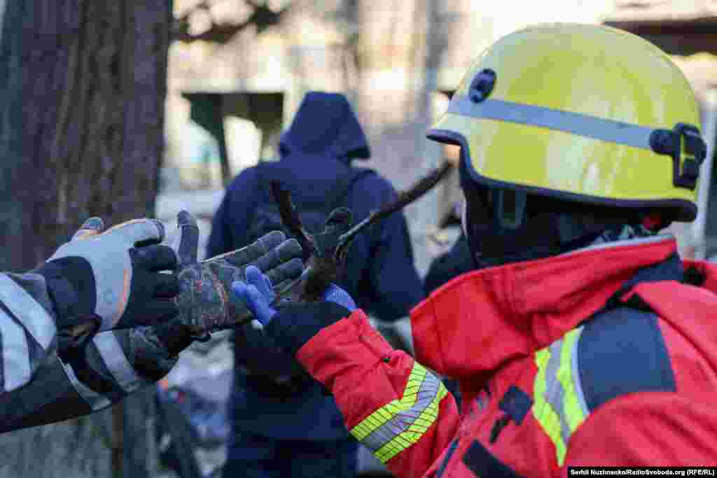 Врятована ластівка