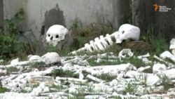 Milion kostiju kao opomena Milion kostiju kao opomena