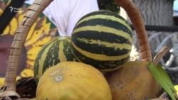 Кавун-велетень і кавун-малюк на цьогорічному фестивалі у Херсоні (відео) Кавун-велетень і кавун-малюк на цьогорічному фестивалі у Херсоні (відео)