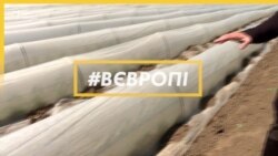 «Без українців буде катастрофа» – чеські фермери чекають на заробітчан «Без українців буде катастрофа» – чеські фермери чекають на заробітчан