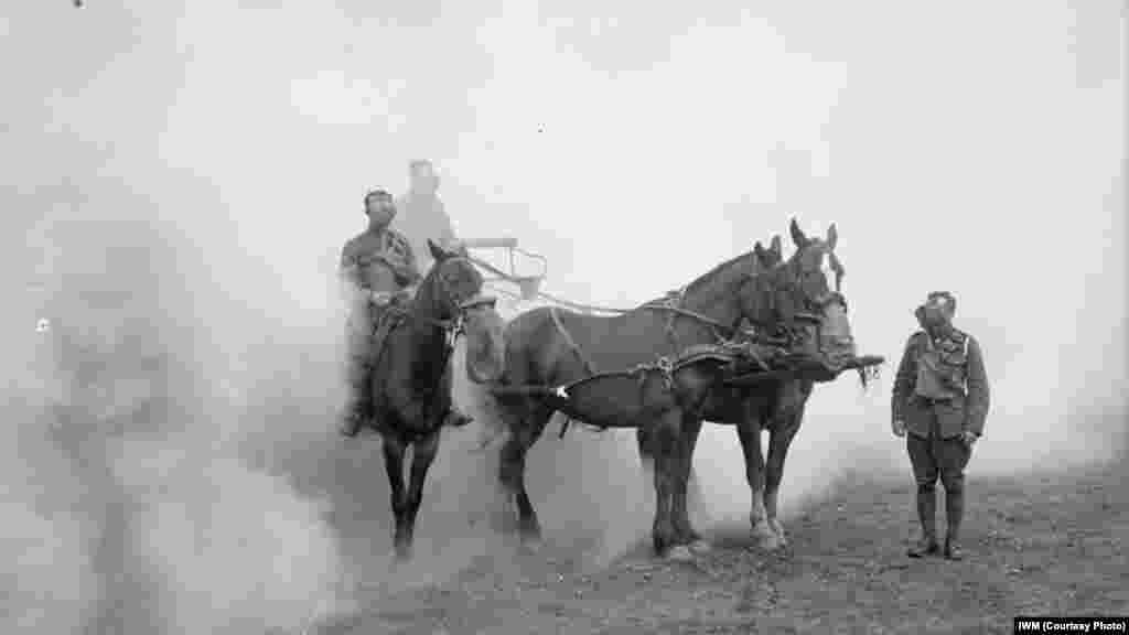 Мужчины и лошади из Британского военного корпуса в Великобритании  