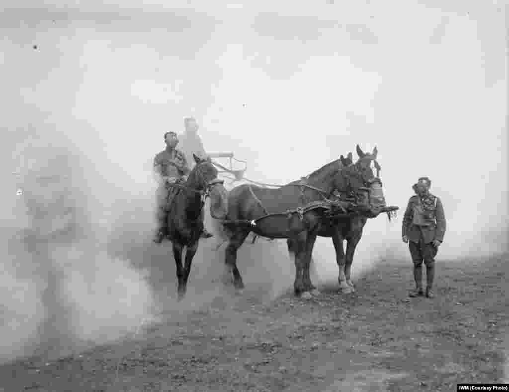 Чоловіки та коні з Британського військового корпусу у Великій Британії  