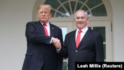 Трамп та Нетаньяху під час зустрічі в Білому домі