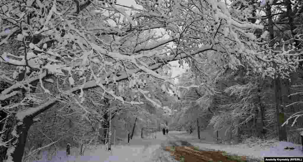 Проселочная дорога в районе старой турбазы