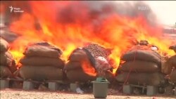 Влада Пакистану урочисто знищила «історичну» партію наркотиків – відео Влада Пакистану урочисто знищила «історичну» партію наркотиків – відео