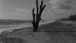 Две России Михаила Шишкина, эмиграция и меланхолия В.Г.Зебальда Две России Михаила Шишкина, эмиграция и меланхолия В.Г.Зебальда