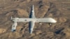 A U.S. Air Force MQ-1 Predator unmanned aerial vehicle (file photo)