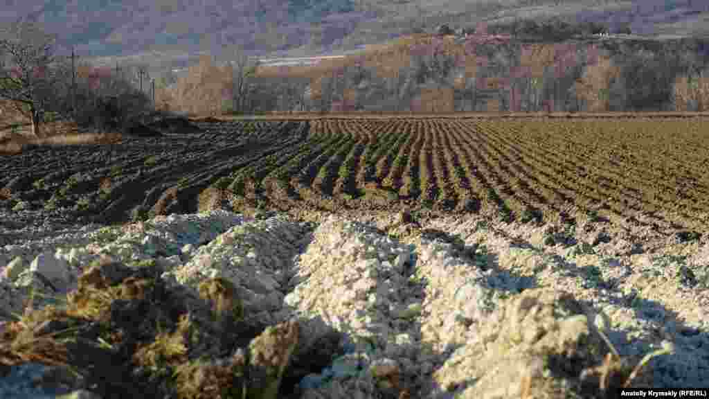 Ближе к автодороге Новопавловка-Песчаное почва – сплошной известняк