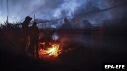 Мігранти біля кордону Білорусі з Польщею, 11 листопада 2021 року