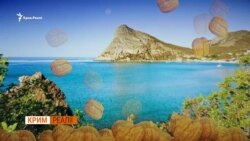 Чому в Криму шалений попит на горіхи? Чому в Криму шалений попит на горіхи?