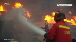 Іспанія і Португалія боряться із лісовими пожежами, людей евакуюють – відео Іспанія і Португалія боряться із лісовими пожежами, людей евакуюють – відео