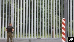 Польський прикордонник патрулює територію новозбудованої металевої стіни на кордоні з Білоруссю, поблизу Кузніце, Польща, червень 2022 року