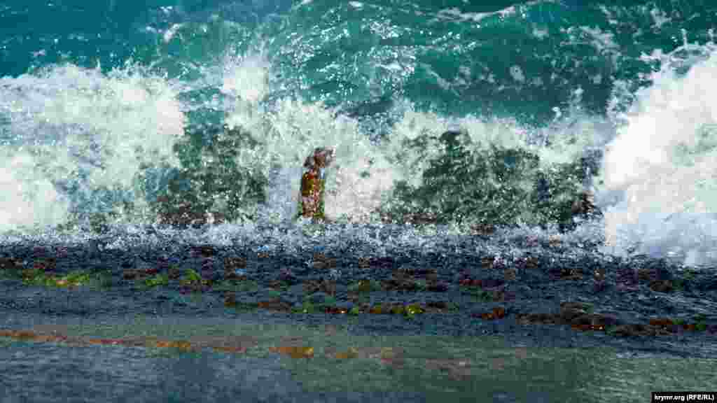 Однако сами туристы знают, почему не едут на полуостров: «Прощай, Крым. Турция и Египет рулит. За те же бабки столы ломятся от жратвы. Вы держитесь здесь, вам всего доброго, хорошего настроения и здоровья»