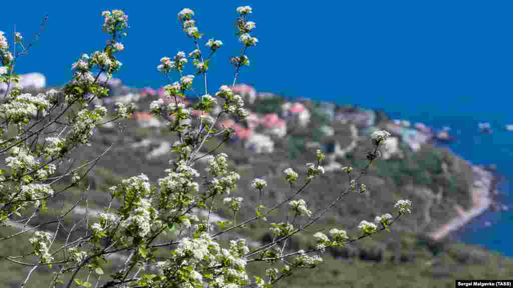 Вид на берег моря в поселке Форос 