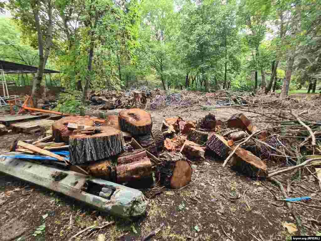 Только за сентябрь из парков Симферополя отправили 30 кубометров дров на нужды российских военных. Гагаринский парк