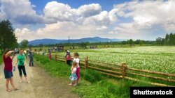 Долина нарцисів – заповідний масив, що розташований в урочищі Кіреші, за 4 кілометри від міста Хуста Закарпатської області