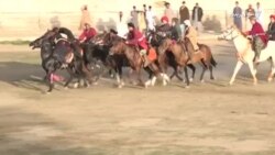 په کوټه کې د بزکشۍ سیالي شوې په کوټه کې د بزکشۍ سیالي شوې